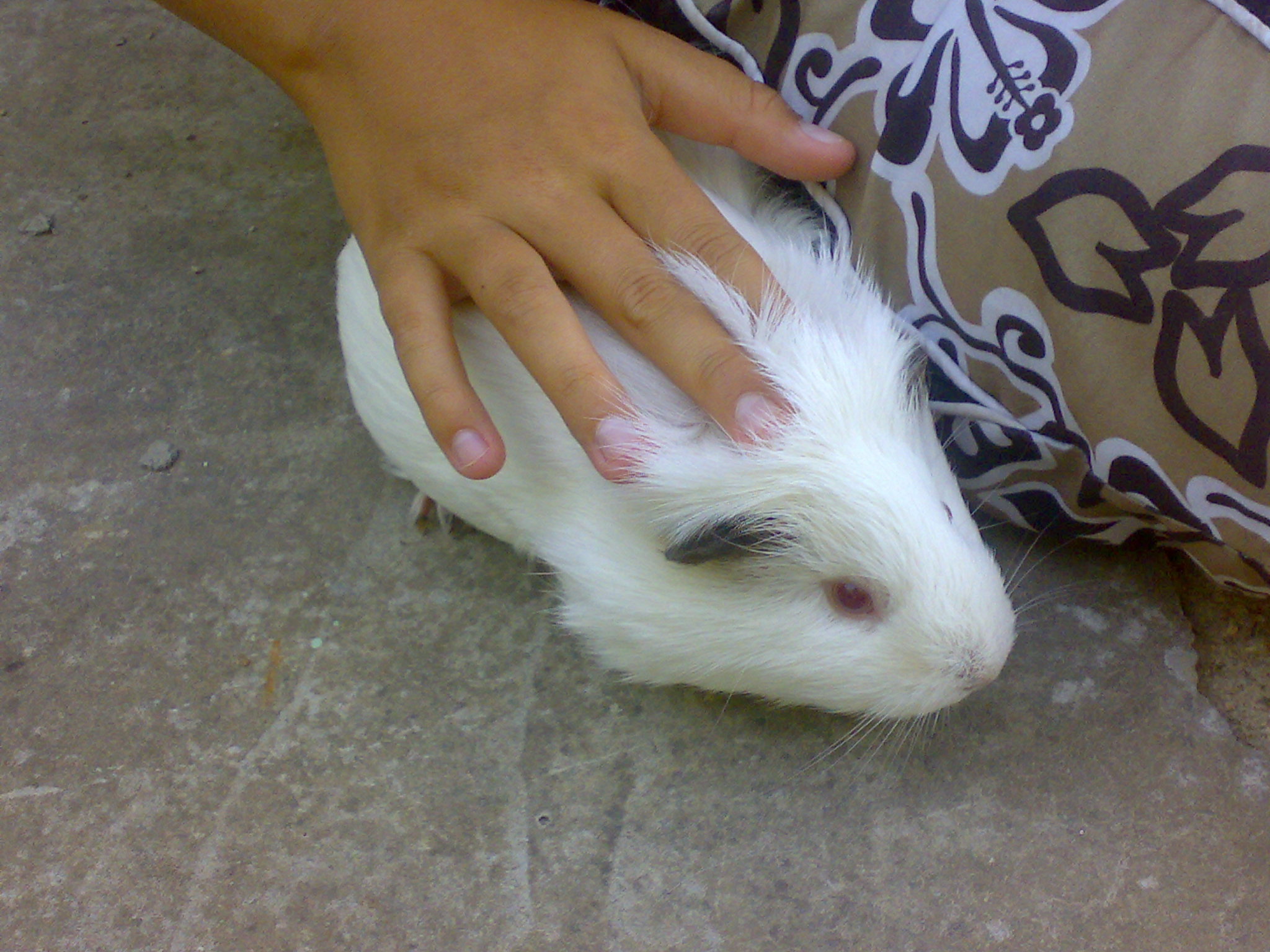 29072009812.jpg
