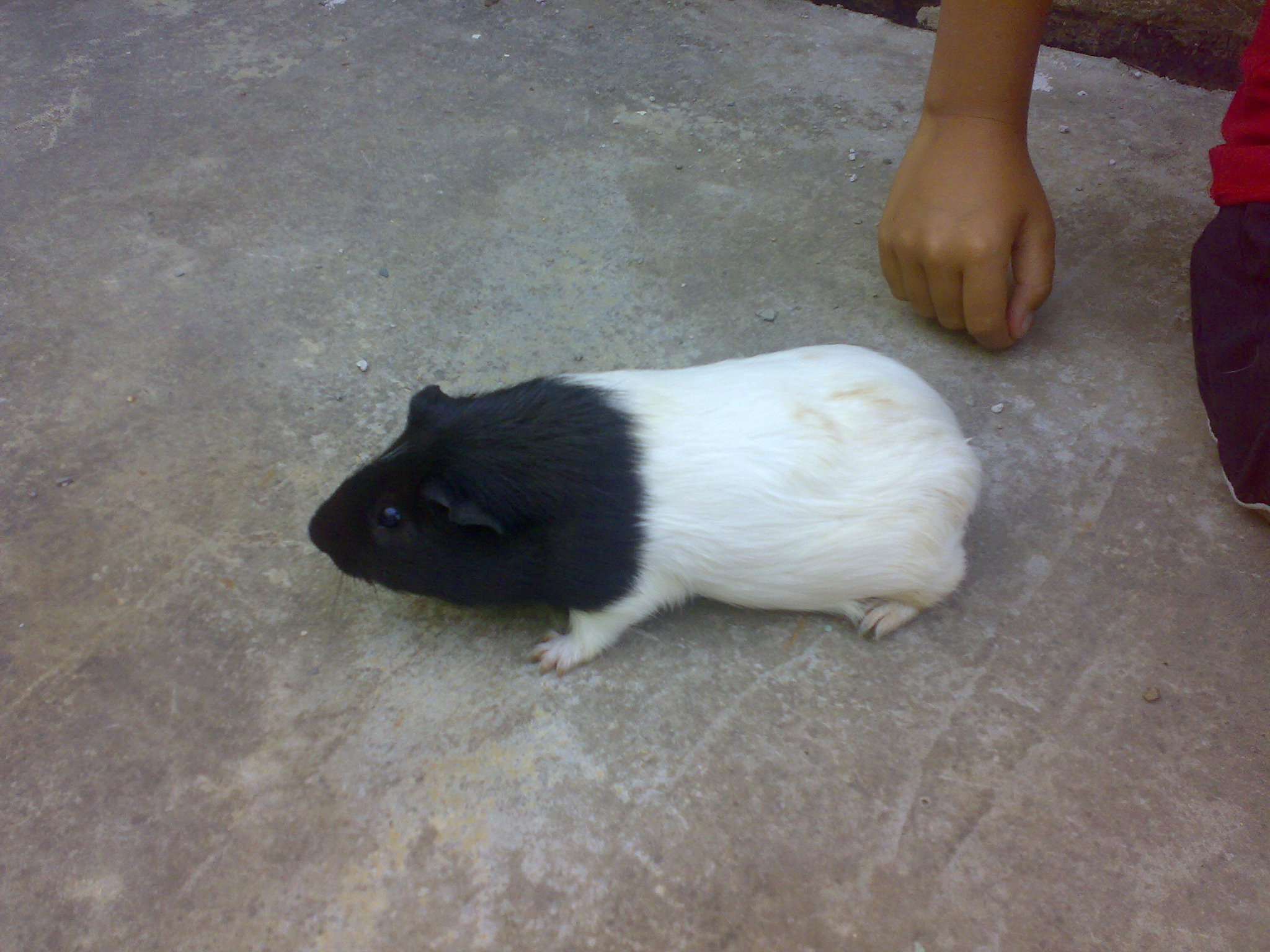 29072009814.jpg