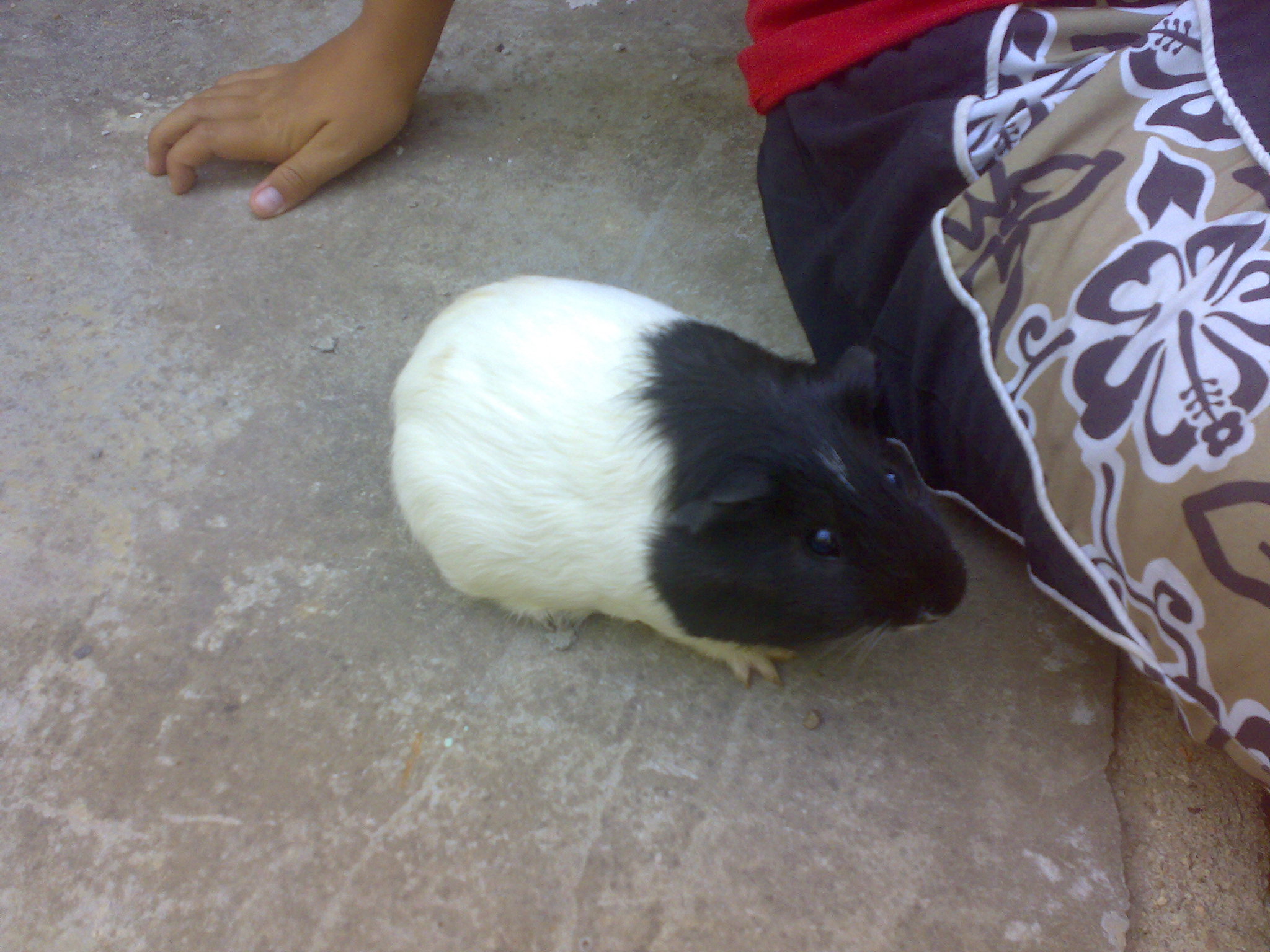 29072009815.jpg