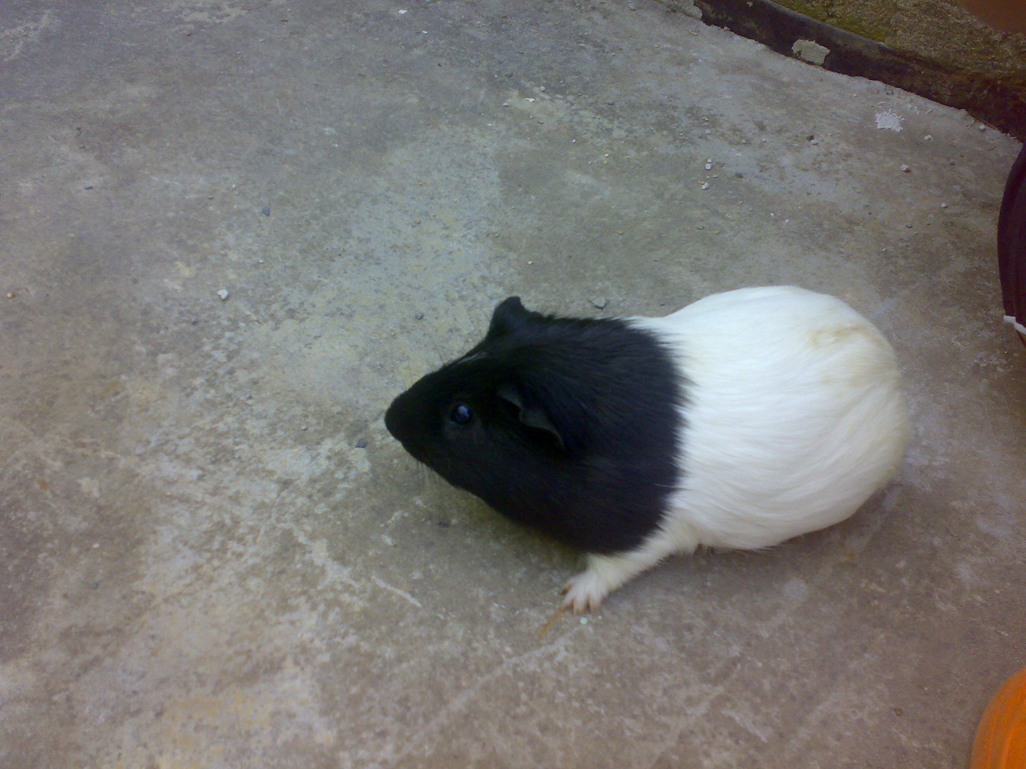 29072009817.jpg