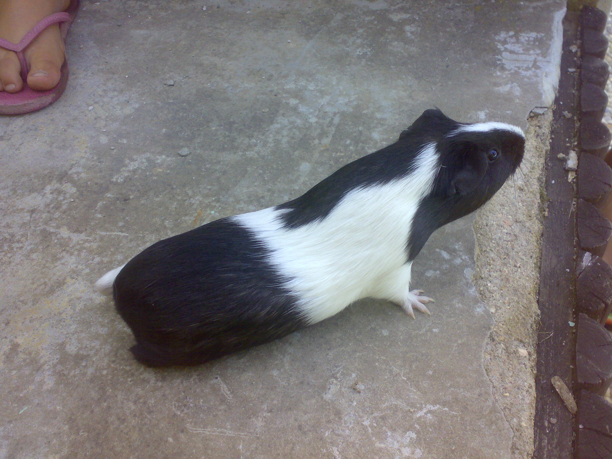 29072009805.jpg