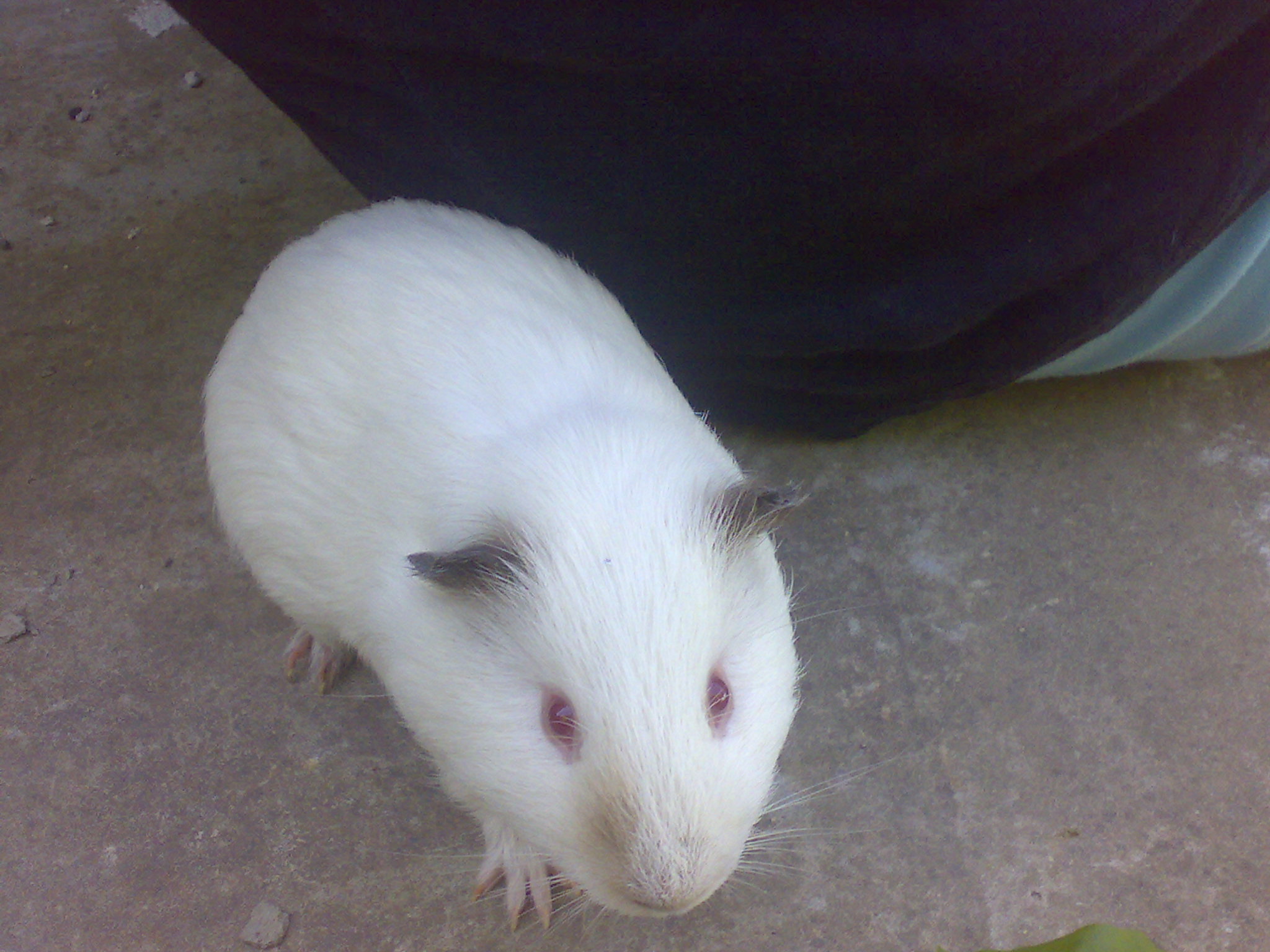 29072009806.jpg