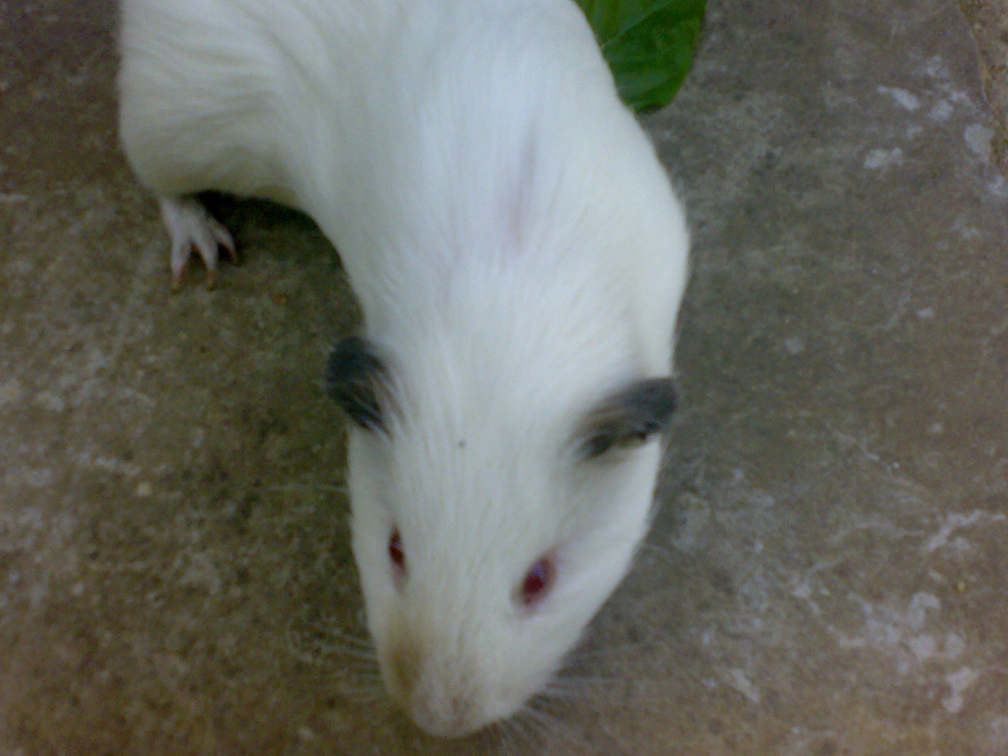 29072009807.jpg