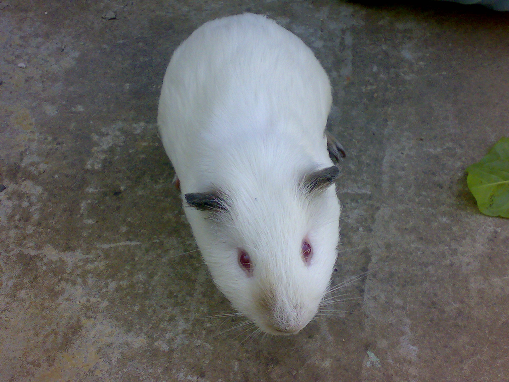 29072009808.jpg