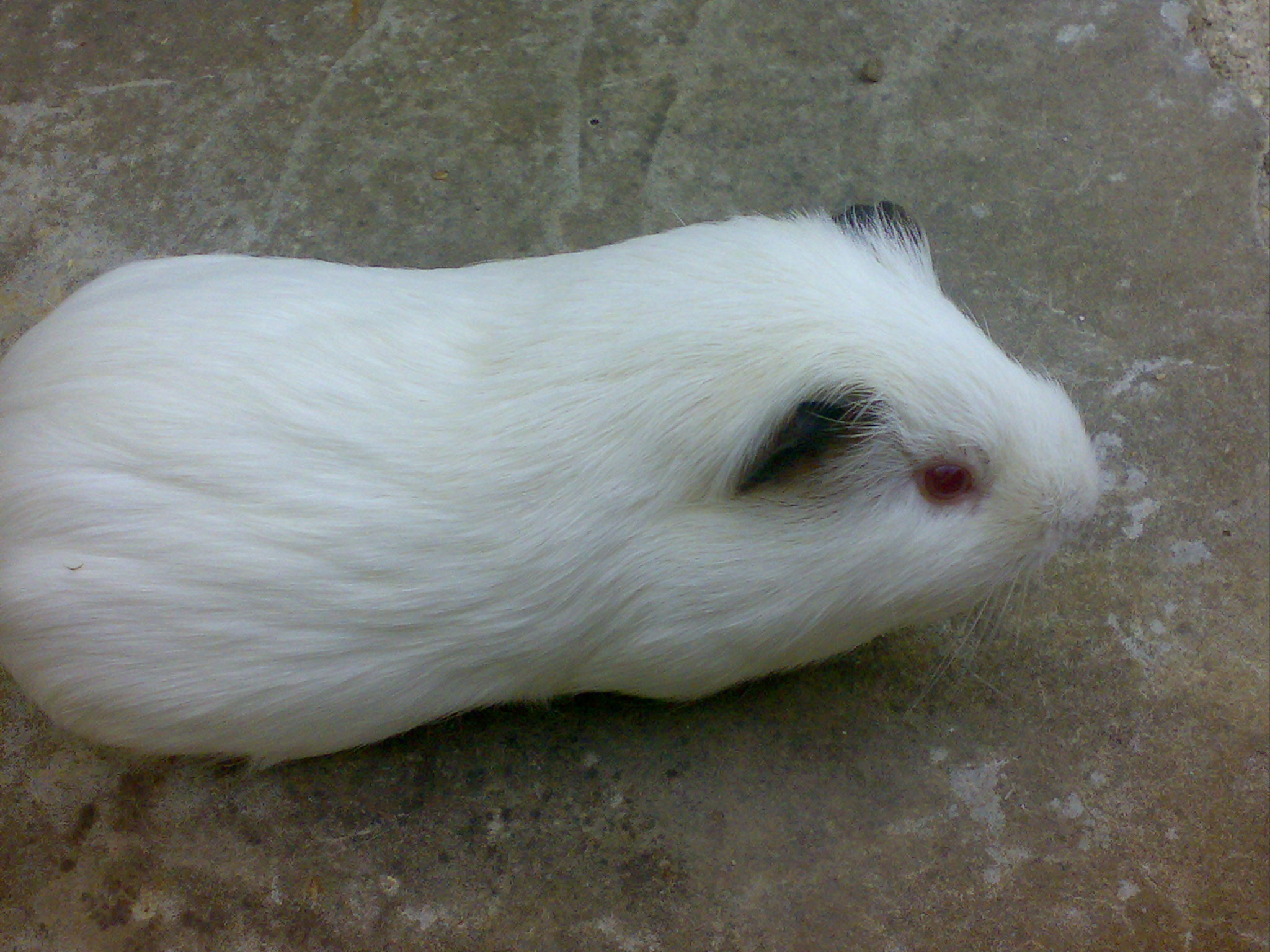 29072009810.jpg