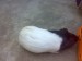 29072009816.jpg